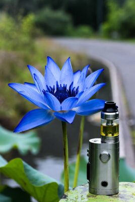 Best Blue Lotus Vape Near Me